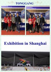 Exhibition in Shanghai